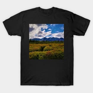 Mountain Range Maze Hedges T-Shirt